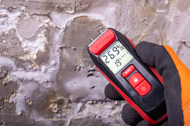 Best Attic Mold Removal  in Lus Valley Marinwood, CA