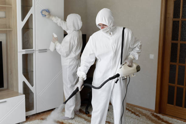 Best Local Mold Removal Service  in Lus Valley Marinwood, CA