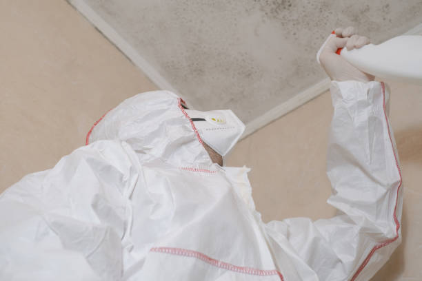 Best Certified Mold Removal  in Lus Valley Marinwood, CA