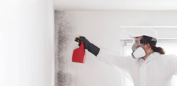 Best Water Damage Restoration  in Lus Valley Marinwood, CA