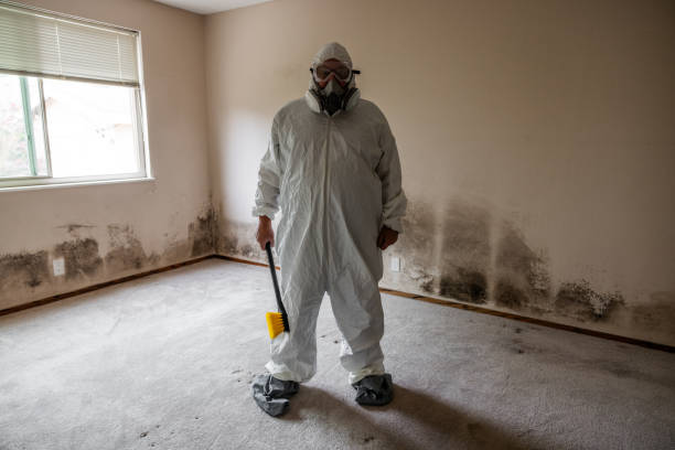 Best Commercial Mold Removal  in Lus Valley Marinwood, CA