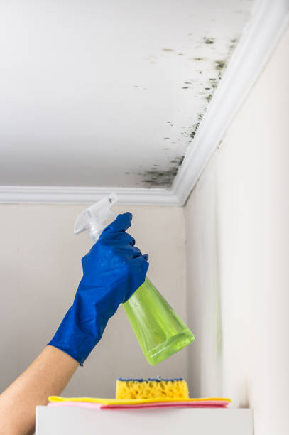 Best Water Damage Restoration  in Lus Valley Marinwood, CA